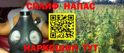 индика Конаково